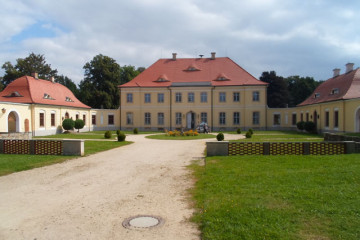 SAM_1498